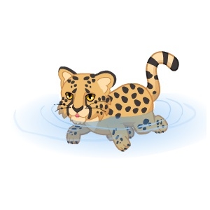 Paddling Cheetah